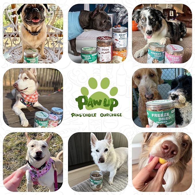 Freeze Dried Dog Treats, Raw Chicken Food for Dogs, Single Ingredient, High Protein Natural Healthy Topper, 3.8 oz