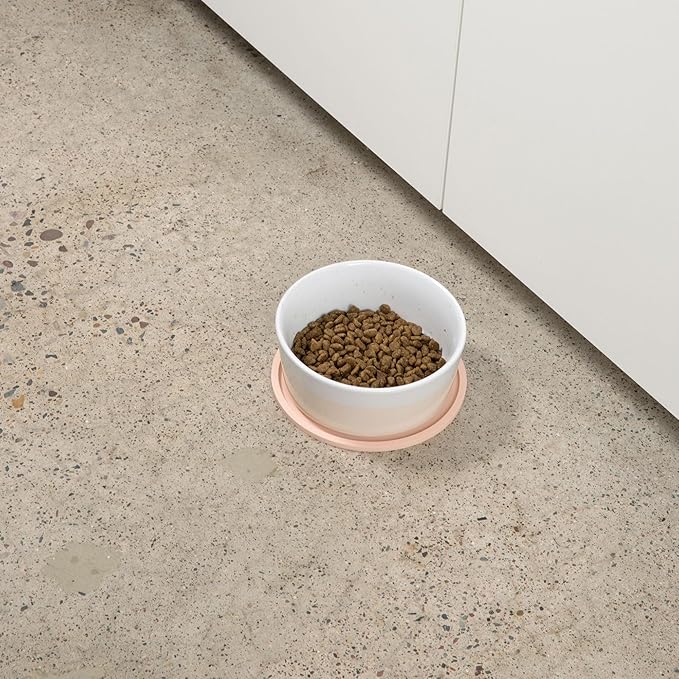 Waggo Habit Silicone Dog Placemat for Small Medium and Large Breeds - Modern Heavyweight Silicone Dog Mat, Dishwasher Safe, Solid Placemat - Set of 2 (Small, Light Grey)