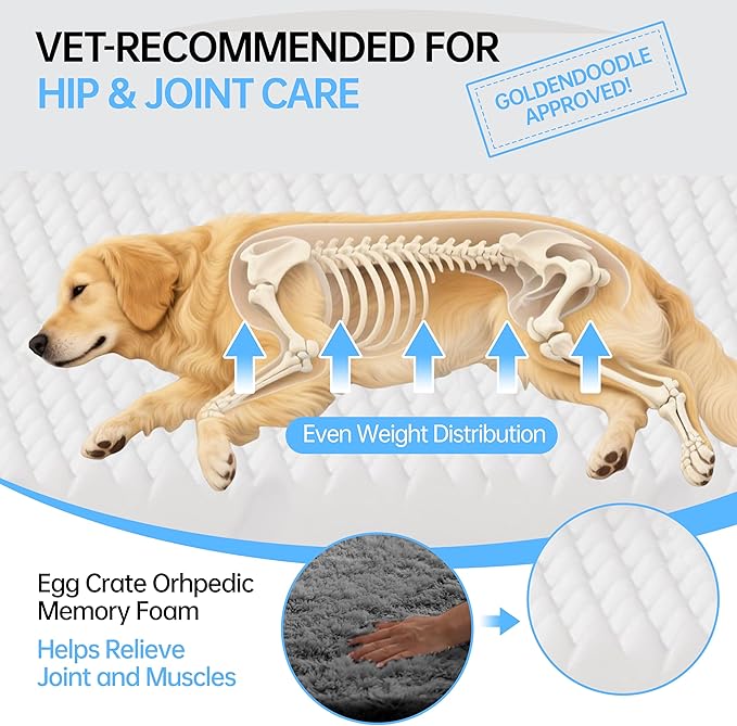 Foldable Human Dog Bed for Adult, Orthopedic Memory Foam Large Pet Sofa, Washable Dog Couch with Removable Waterproof Cover, Sofa Bed for Adults Pets and Families, 74.8''x43.3''x11.81''