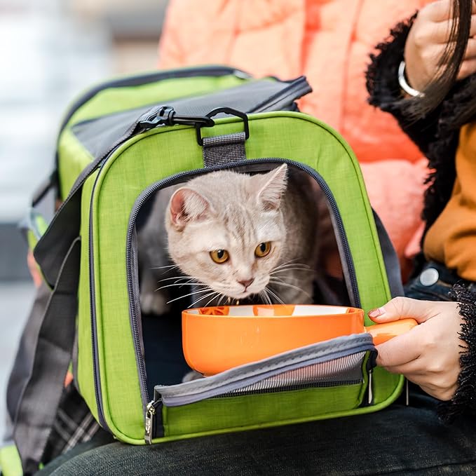 Mr. Pen- Pet Carrier, 17.5" x 11.2" x 11.5", Medium Size, Green, Portable Travel Carrier for Small Pets, Cats & Small Dogs, Breathable Mesh, Safety Inner Leash, Side Pocket & Padded Shoulder Strap