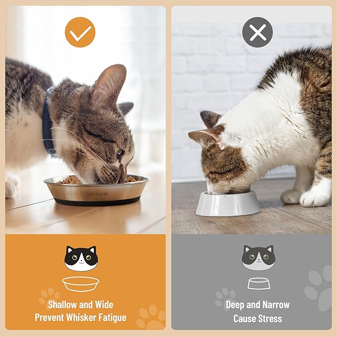 Wellbro Cat Bowls, 4 Pcs Stainless Steel Pets Bowls for Food and Water, Whisker Fatigue Shallow Non-Slip Cat Dishes Plates for Small Dog Puppies Cats