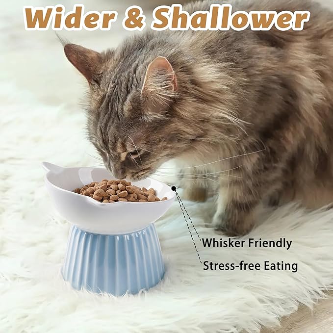 Wellbro Ceramic Raised Cat Bowl，Tilted Raised Bowl Anti Vomit for Indoor Cats Whisker Friendly Pet Feeder for Cats Puppies, Microwave and Dishwasher Safe (Pink)