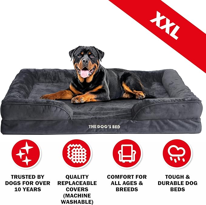 The Dog’s Bed, Orthopedic Standard Foam Waterproof Dog Bed with Standard Support, XXL Grey Plush, Waterproof, Supportive Dog Bed with Replaceable Covers