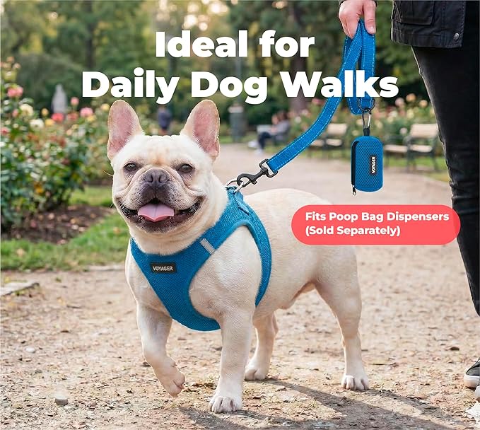 Best Pet Supplies Voyager Reflective Dog Leash or Collar with Neoprene Handle, for Small, Medium, and Large Breed Puppies, Cute and Heavy Duty for Walking, Running and Training - Royal Blue (Leash), L