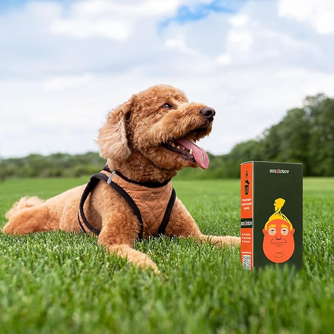 Premium Dog Poop Bags, Unscented, Leakproof, 4 Rolls (60 Count) - Stable Genius