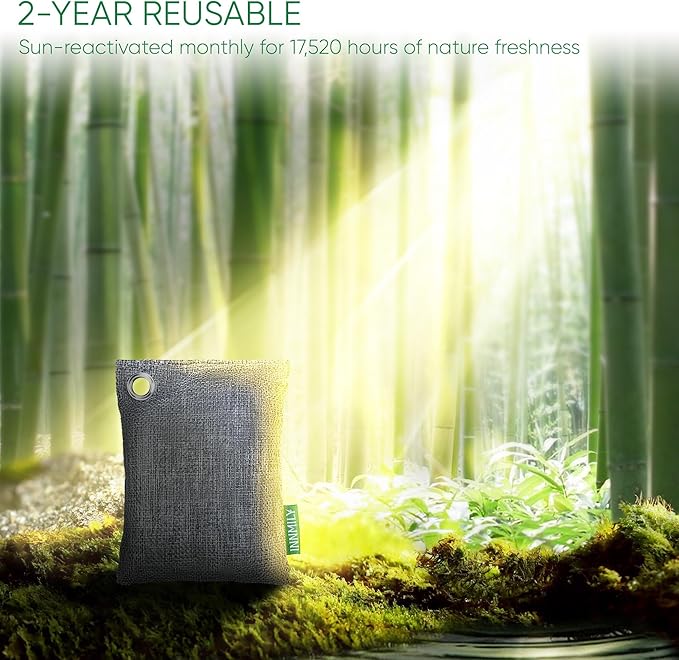 Activated Charcoal Odor Absorber, Large 10 Pack w Hooks Nature Odor Remover for Strong Odor, Bamboo Charcoal Air Purifying Bags, Odor Eliminator for Home Car Closet Pet, Smoke Deodorizer