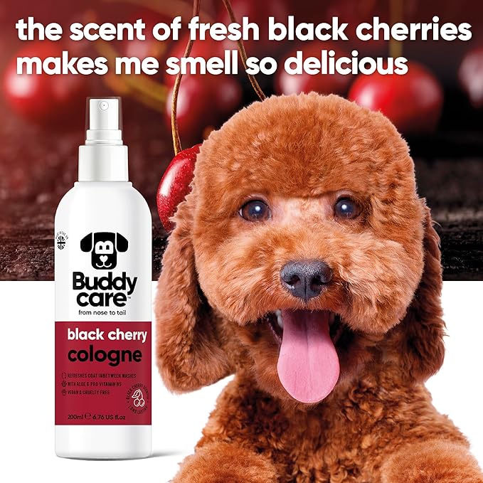 Dog Cologne - Black Cherry - 200ml - Fruity and Bold Scented Dog Cologne - Refreshes Between Dog Washes