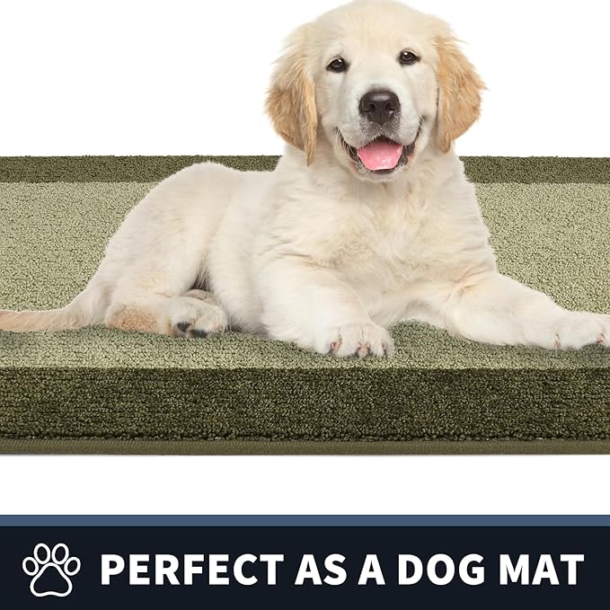 PURRUGS Dirt Trapping Door Mat 24" x 36", Non-Slip Machine Washable Entry Rug, Entrance Mat, Indoor Front Door Mat, Super Absorbent Entryway Rug for Muddy Shoes & Paws, Budding Green & Sage Green