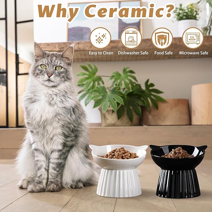Wellbro Ceramic Raised Cat Bowl，Tilted Raised Bowl Anti Vomit Bowls for Indoor Cats Whisker Friendly Pet Feeder for Cats Puppies, Microwave and Dishwasher Safe