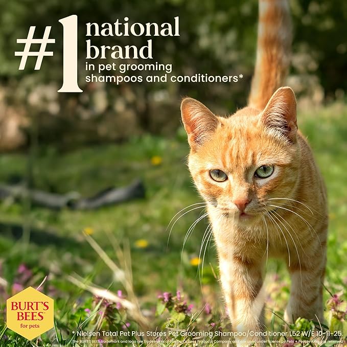 Burt's Bees for Pets Cat Dander Wipes with Colloidal Oat Flour, 98% Natural Origin Formulas, Cats Dandruff Remedy, Feline Cleansing Sheets for Allergy Relief, 3pk, 50ct