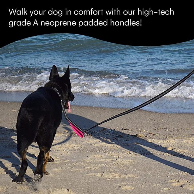 Black Rhino Heavy Duty Dog Leash for Medium and Large Dogs - 5 ft Long Double Handle Dog Leash with Padded Traffic Control Handles - Reflective, Durable, and Weather Resistant (Pink and Black)