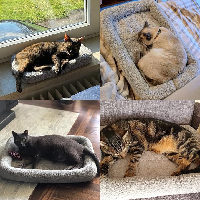 LESYPT Cat Bed 15" x 10" Non-Slip Pet Bed for Curled Sleep, Machine Washable Indoor Cat Mat for Crate Carrier Tree Windowsill, Size S