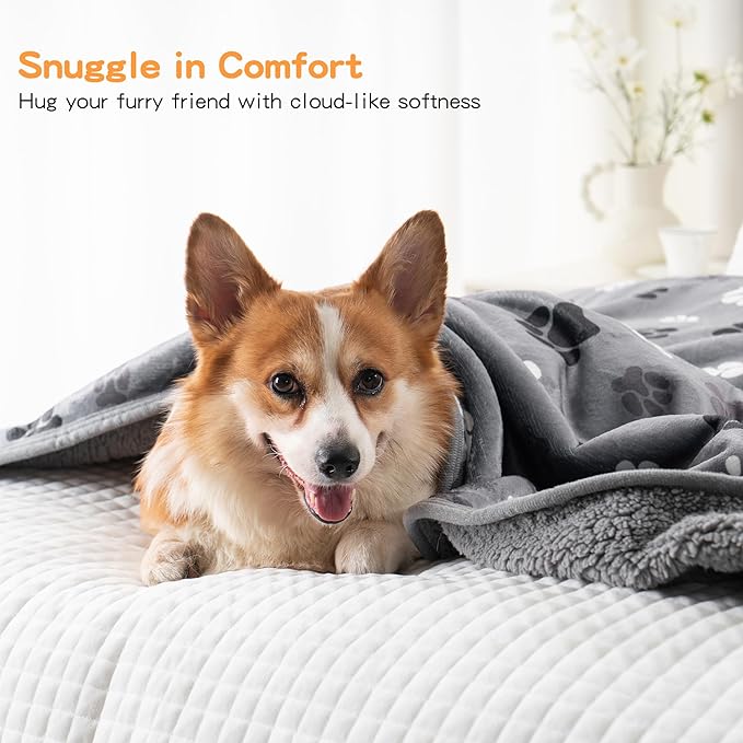 CAPT.SNOOZE Waterproof Dog Blankets Pet Blanket, 30"x40" Cat Blanket for Indoor Cats, Soft Fluffy Sofa Car Bed Protector, Reversible Sherpa Fleece Puppy Blanket for Small Medium Dogs (Dark Grey-Paws)