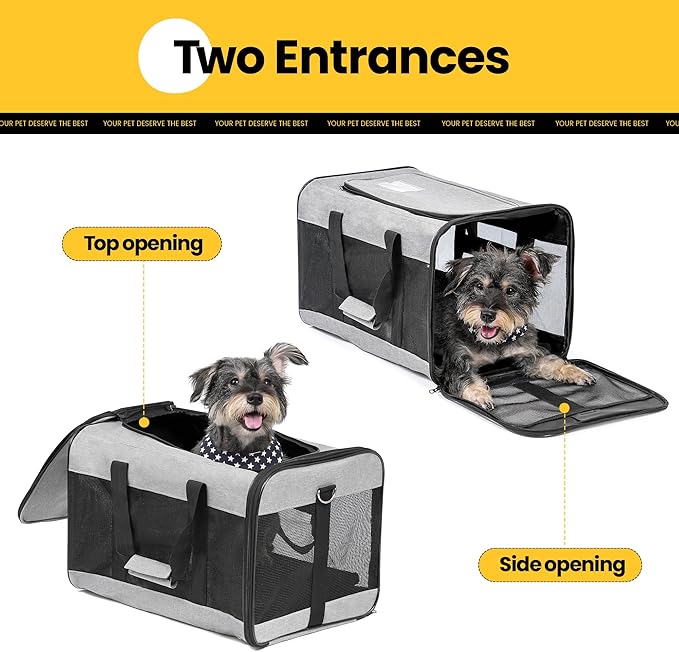 Conlun Dog Carrier Soft Sided, Large Cat Carrier with Inner Safety Leash, Pet Transport Carrier for Large Cats and Medium Dogs up to 20 Lbs, Collapsible Travel Puppy Carrier Bag -Gray L