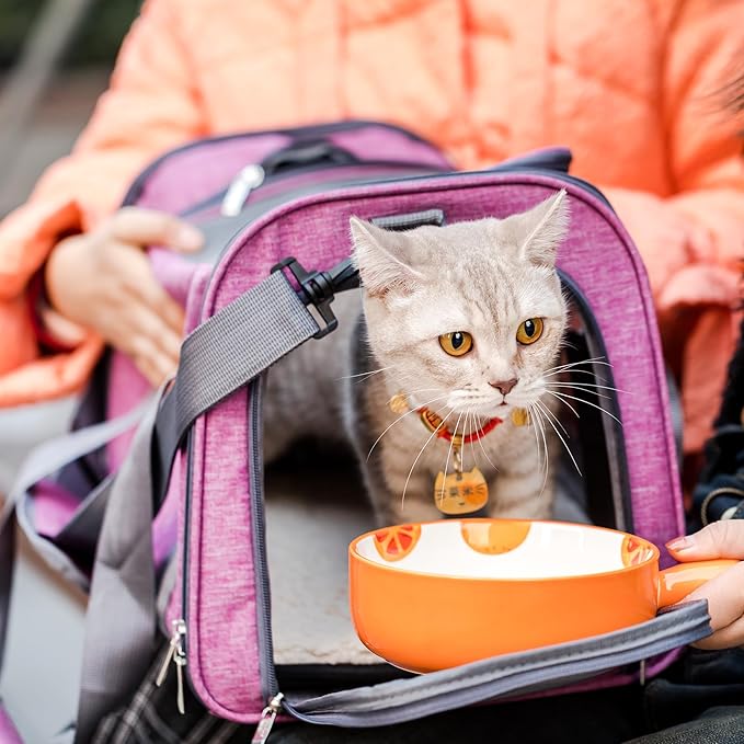 Mr. Pen- Pet Carrier, 17.5" x 11.2" x 11.5", Medium Size, Pink, Portable Travel Carrier for Small Pets, Cats & Small Dogs, Breathable Mesh, Safety Inner Leash, Side Pocket & Padded Shoulder Strap