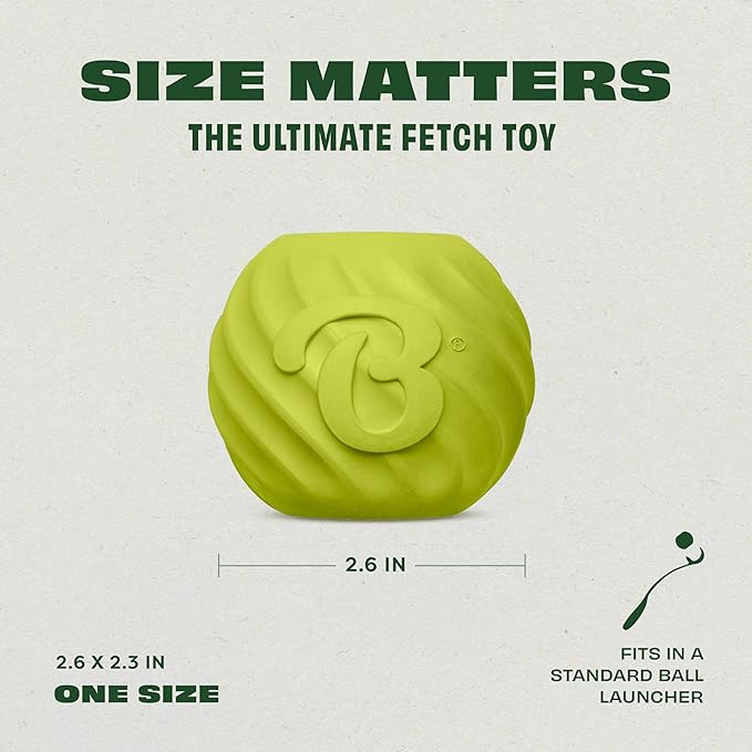 Benebone 2-Pack Rubber Ball