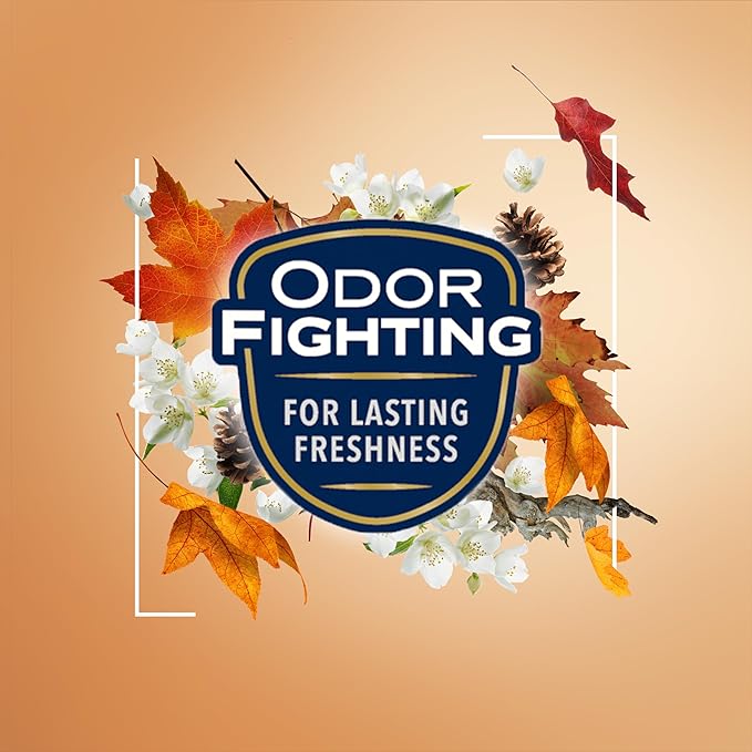 Glade Automatic Spray Refill and Holder Kit, Air Freshener for Home and Bathroom, Cashmere Woods, 6.2 Oz, 2 Count