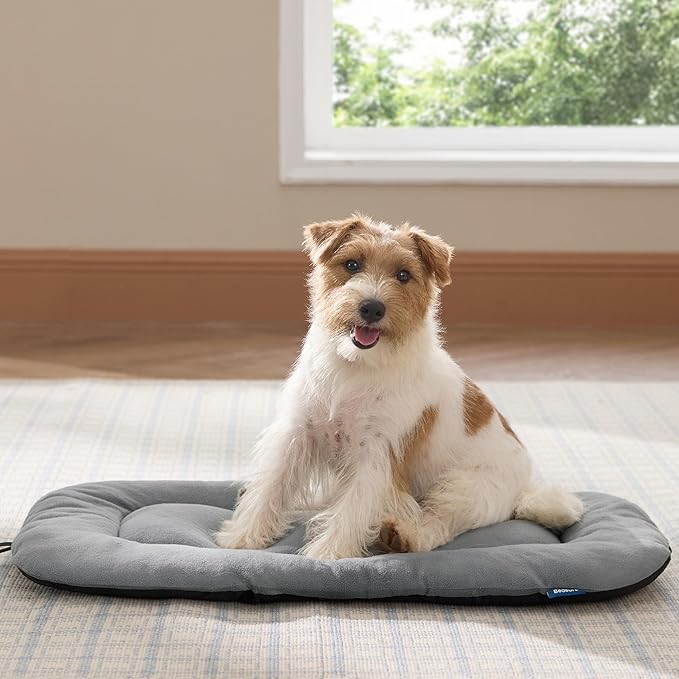 Bedsure Washable Dog Crate Pad for Medium Dogs, Anti-Slip Puppy Kennel Dog Bed for Crate - Ultra Soft Fleece Flat Thin Pet Mat (Not Chew Proof), Light Grey 29"x18"