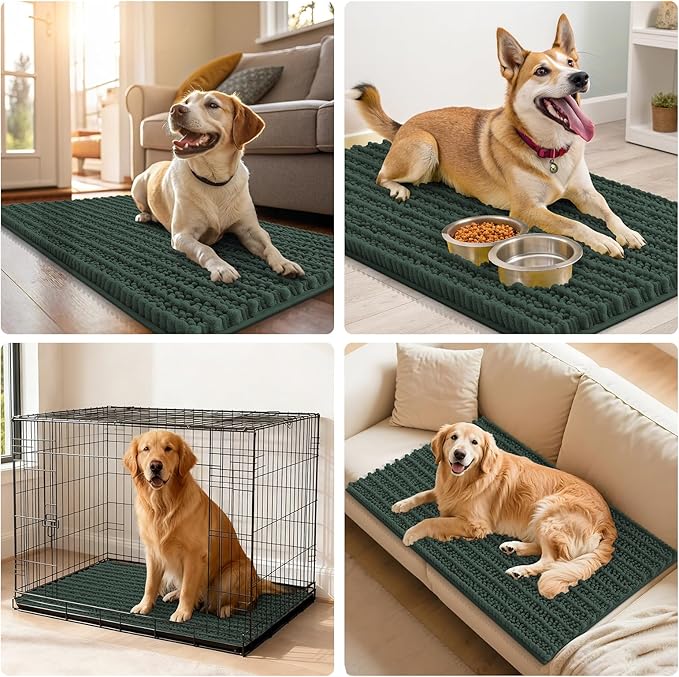 Smiry Dog Door Mat for Muddy Paws 47x32, Extra Soft Absorbent Chenille Doormat, Trap Moisture and Dirt, Non-Slip Machine Washable Front Door Mat for Indoor Entrance Inside Floor, Green