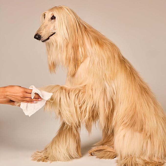 WagWell Daily Cleansing Dog Wipes - Hypoallergenic, Fragrance Free, Microbiome-Friendly Grooming Wipes for Dogs - 50 Count