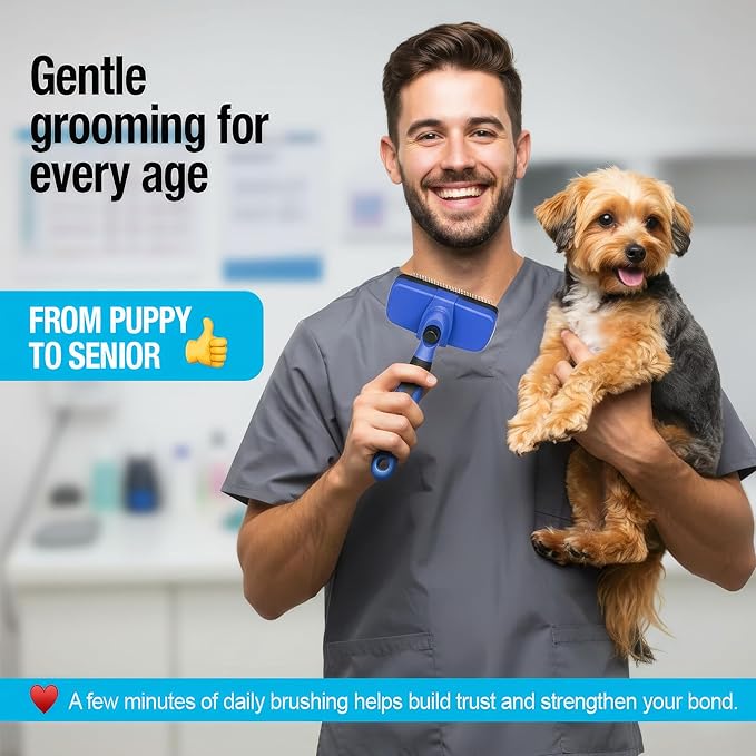 Grooming Duo, 2-in-1 Pet Brush Set with Retractable Self-Cleaning Brush and Silicone Bath Brush for Dogs and Cats (BLACK)