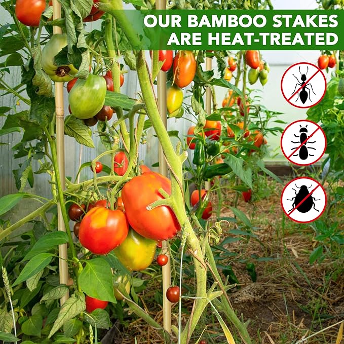 50 Pcs Bamboo Stakes for Plant 6 Feet (70.8 inch), Garden Bamboo Plant Stakes for Plants Support, Climbing Plants, Tomatoes, Sunflowers, Beans, Potted Plants, Trees