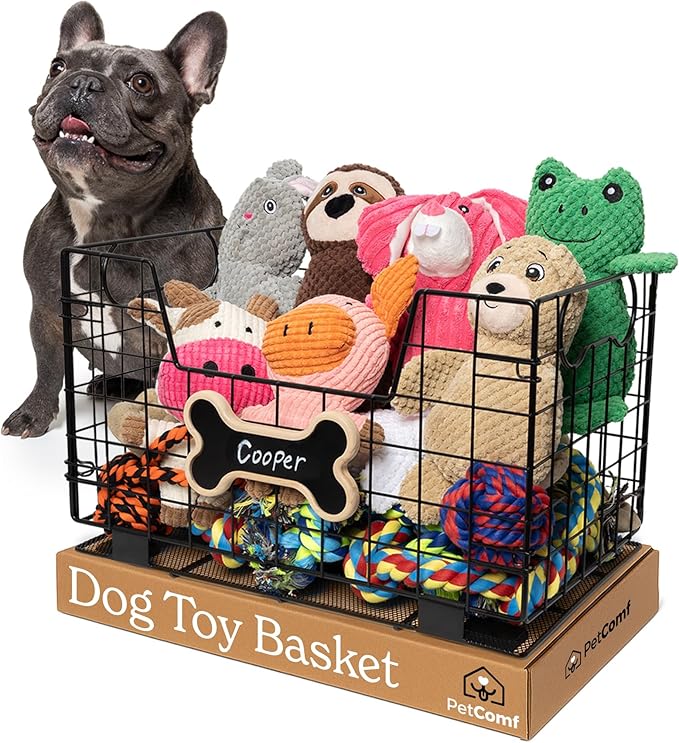 Metal Dog Toy Basket for Dogs and Cats (15” x 10” x 9”) - Heavy-Duty Storage Bin Holds Pet Chew Toys, Bones, Ropes, Blankets, Towels, Treats - Large Dog Toy Box for Living Room Area Organization