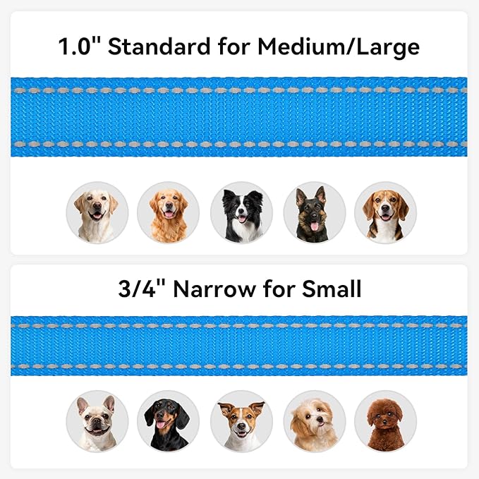 Joytale Dog Leash, 6 FT Double-Sided Reflective, Padded Handle Nylon Heavy Duty Leashes for Medium & Large Dogs Walking, SkyBlue
