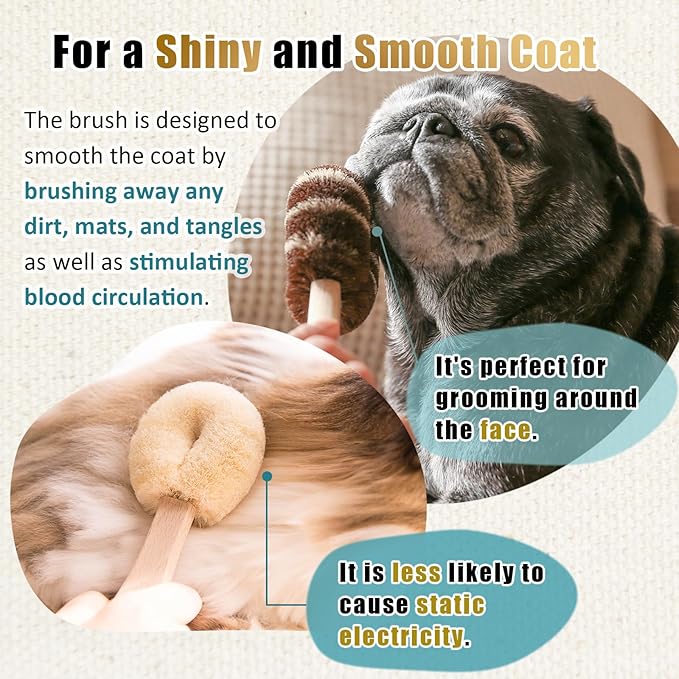 Dog Grooming Massage Tawashi Brush with Wood Handle Less Static Natural palm fiber Made in Japan (Small dog B)