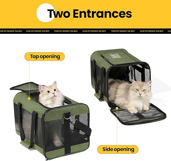 Conlun Cat Carrier Airline Approved, Soft-Sided Dog Carrier with Inner Safety Leash, Pet Transport Carrier for Small-Medium Cats Puppies up to 15 Lbs, Collapsible Travel Kitten Carrier Bag -Green M