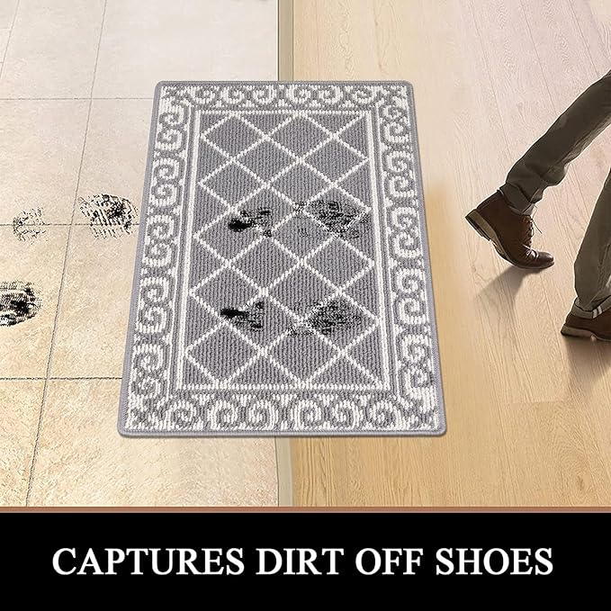 HEBE Indoor Door Mat 20''x32'' Non Slip Front Door Welcome Mats Washable Shoe Mats Dirt Trapper for Entryway Low Profile Kitchen Carpet for Entrance Hallways Entrance Mat for Dogs