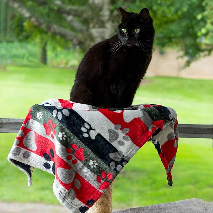 Pet Dog Cat Blanket Ultra Soft Cozy Fleece Paw Print Design Machine Washable Durable for Crates Beds Sofas Travel (Buffalo Paws, Large)
