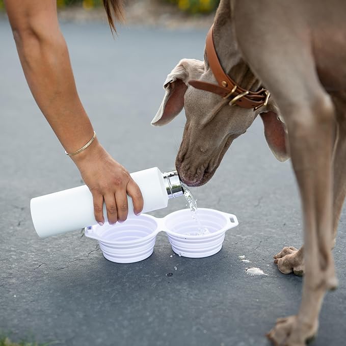 Pup Culture Dual Collapsible Dog Bowls | Silicone Travel Water Bowl for Dogs | Food Grade, No Plastic Rim, Portable Dog Bowl for Food and Water - Easy to Clean | BPA Free and Safe for Your Pup-Pink