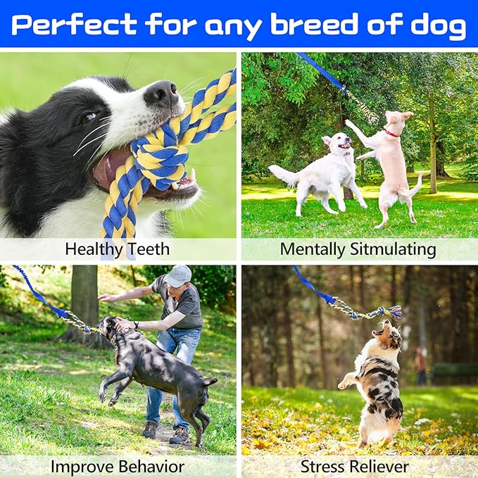 XiaZ Tug of War Dog Toy, Interactive Dogs Toy Bungee Hanging Tether with 2 Chew Rope Toys, Heavy Duty Puppy Outdoor Activity Aggressive Chewers Best Small to Large Boredom Exercise and Play (Blue)