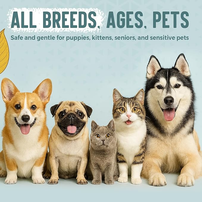 ALFIE'S CHOICE Pet Calming Aromatherapy Spray - Cat Calming Spray for Indoor Use & Travel - Dog Relaxation Mist with Essential Oils - Natural Scent for Grooming, Loud Noises - 3.4 fl oz