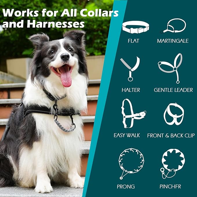 PetBonus Dog Collar Safety Clip, Handmade Backup Safety Strap for Dog Harness, Prong, Pinch Collar, Double Ended Clasp Leash Connector (Grey)