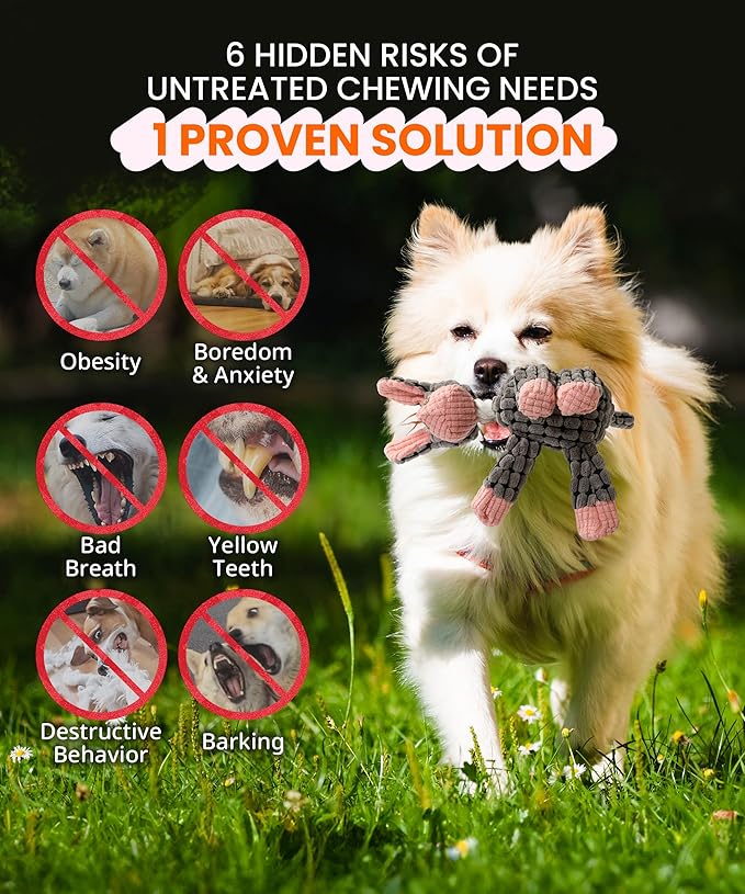 Squeaky Plush Dog Toys - Adorable Animal Designs with Soft Cotton Filling, Cute Stuffed Dog Chew Toys for Small, Medium Non-Aggressive Chewing Dogs Chewer (Grey - Donkey)