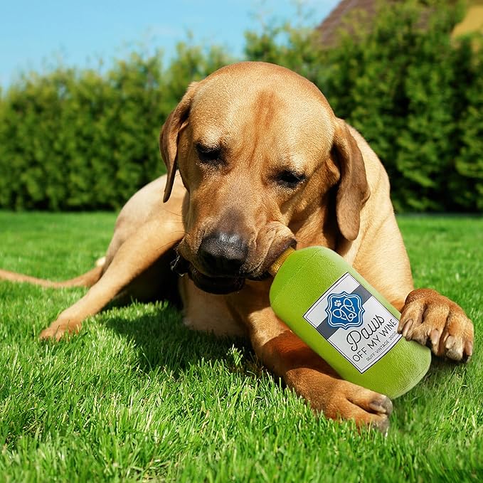 Prime Pets Plush Dog Toy, Crinkle Dog Toys, Wine Bottle Pet Toy for Small Medium Large Dogs