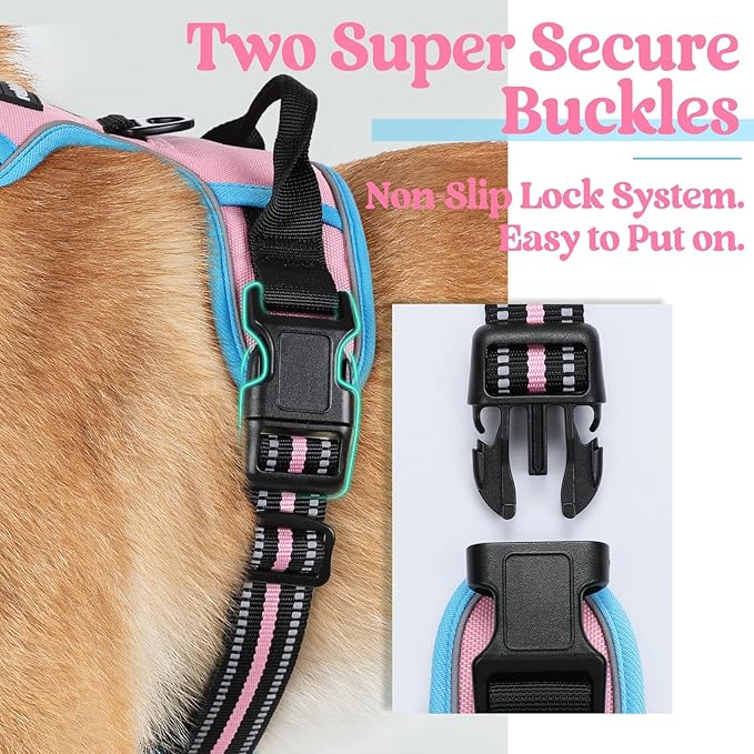 rabbitgoo Dog Harness No Pull with 2 Leash Clips, Adjustable Soft Padded, Reflective Oxford No Choke Pet Vest with Easy Control Handle for Small Dogs, Pink & Blue, S