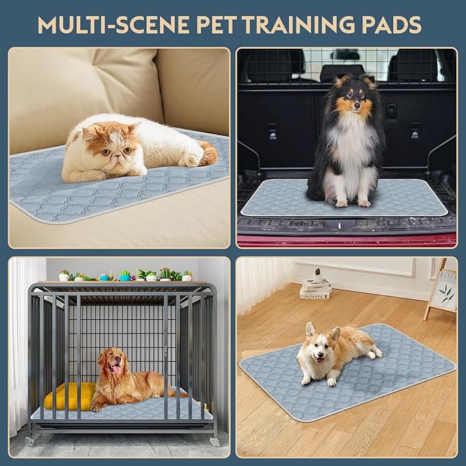 Washable Pee Pads for Dogs - 2 Pack Reusable, Waterproof Puppy Pads, Super Absorbent with Dog Paw Shape Non-Slip Backing (Light Grey, 31" X 36" - 2 Pack)