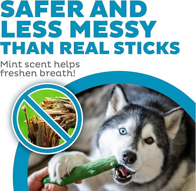 Outward Hound Dogwood Wood Durable Dog Chew Toys, Real Wood & Mint, 2-Pack, Large