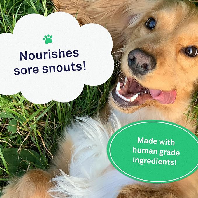 Petpost | Snout Balm for Dogs - Nourishing Snout Soother Balm Heals Dry Dog Noses with Moisturizing Ingredients - Organic Coconut Oil, Jojoba Oil, and Shea Butter 0.64 oz.