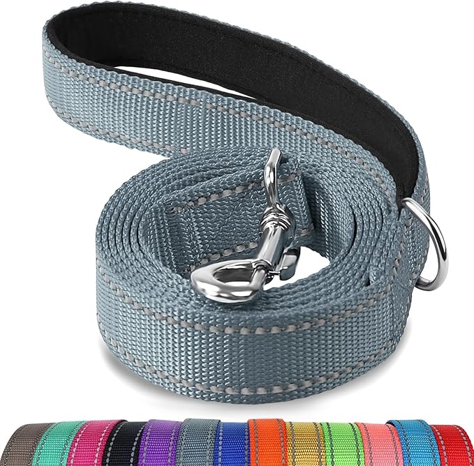 Joytale Dog Leash, 6 FT Double-Sided Reflective, Padded Handle Nylon Heavy Duty Leashes for Small Dogs Walking, Grey