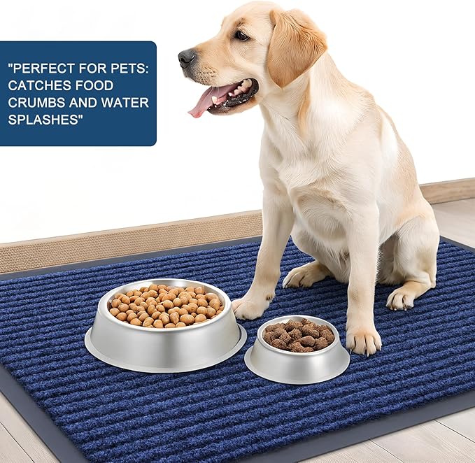 OLANLY Front Door Mat Indoor Outdoor Entrance, Waterproof Heavy Duty Doormat, Fade Resistant, Low Profile, Easy Clean Patio Porch Welcome Floor Mats for Entry, 40x32, Blue
