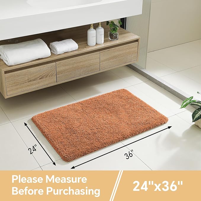 Burnt Orange Bathroom Rugs 24"x36" - Fluffy Microfiber Bath Mat, Non Slip and Absorbent Bathroom Floor Mat, Machine Washable Plush Rug - Ideal for Tub, Cabinet or Washroom