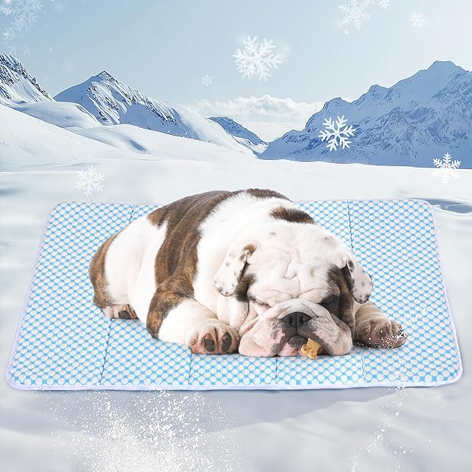 Cooling Mat Blue M