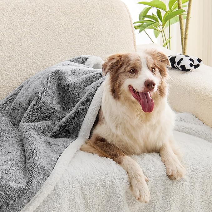 Dog Blanket Waterproof, Reversible Faux Fur & Sherpa Pet Throw for Couch & Sofa Protection, Soft Plush Dog Blankets for Large Dogs, 50"x60", Black