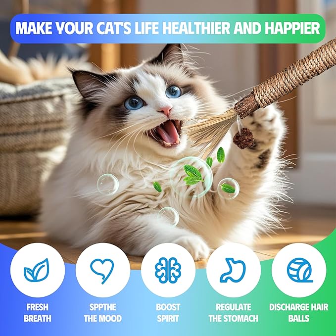 GBSYU Cat Toys Chew Rope & Silvervine Sticks for Bored Indoor Adult Cats, 2Pcs Interactive Catnip Toys for Cats with Refillable Natural Catnip Bag for Teeth Cleaning