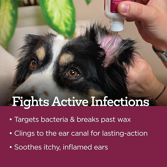 Vetality Medicated Otic Drops for Dog Ear Infection Treatment, 2 fl oz