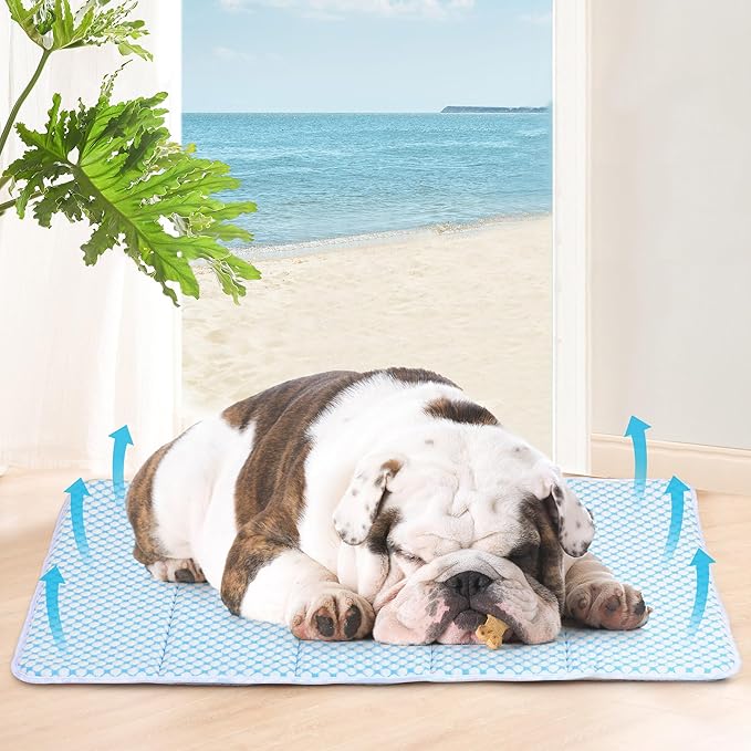 Cooling Mat Blue M